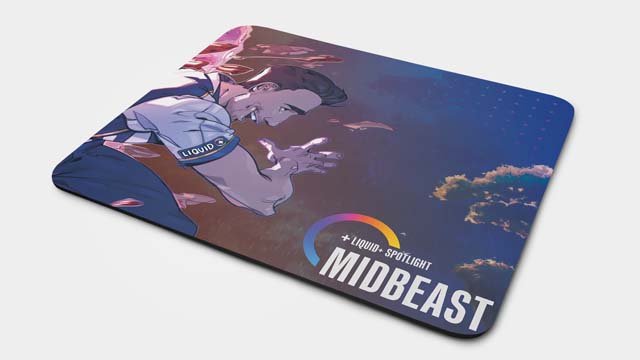 Team Liquid leva ao Anime Friends 2023 seu esquadrão de talentos e uma loja  com produtos exclusivos - Negocios Tech